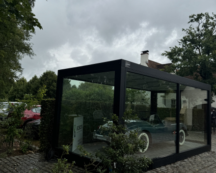 Auto-Display